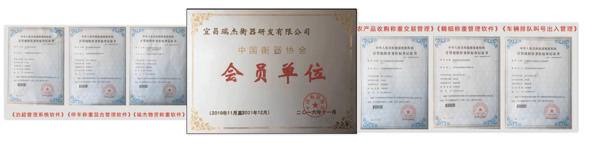 公司荣誉